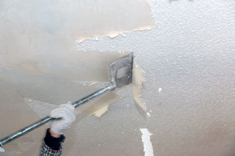 Popcorn Ceiling Repair detail